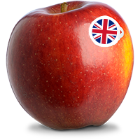 Fresh ripe apple with UK flag sticker, showcasing quality British fruit from Allied Growers.
