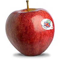 Fresh red apple with Allied Growers sticker, showcasing quality produce from UK farm suppliers.