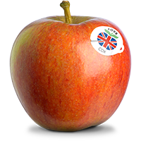 Fresh UK-grown apple with a small Union Jack sticker, showcasing quality produce from Allied Growers.