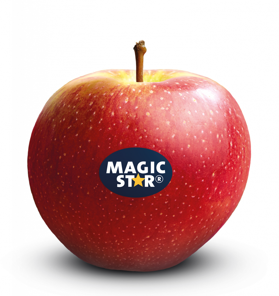 Red apple with Magic Star label, high-quality fresh fruit in vibrant red colour.