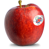 Fresh British apple with a sticker indicating it is locally grown in the UK. Perfect for promoting quality, locally sourced produce from Allied Growers.