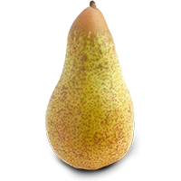 Fresh green pear from Allied Growers, showcasing quality and freshness.